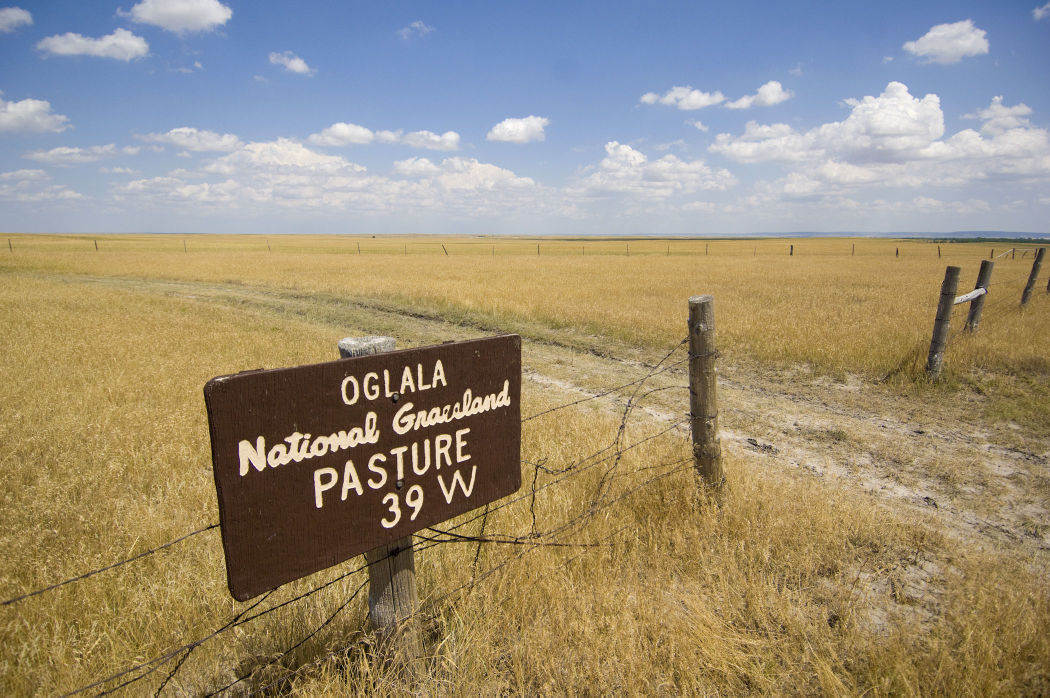 Oglala National Grassland